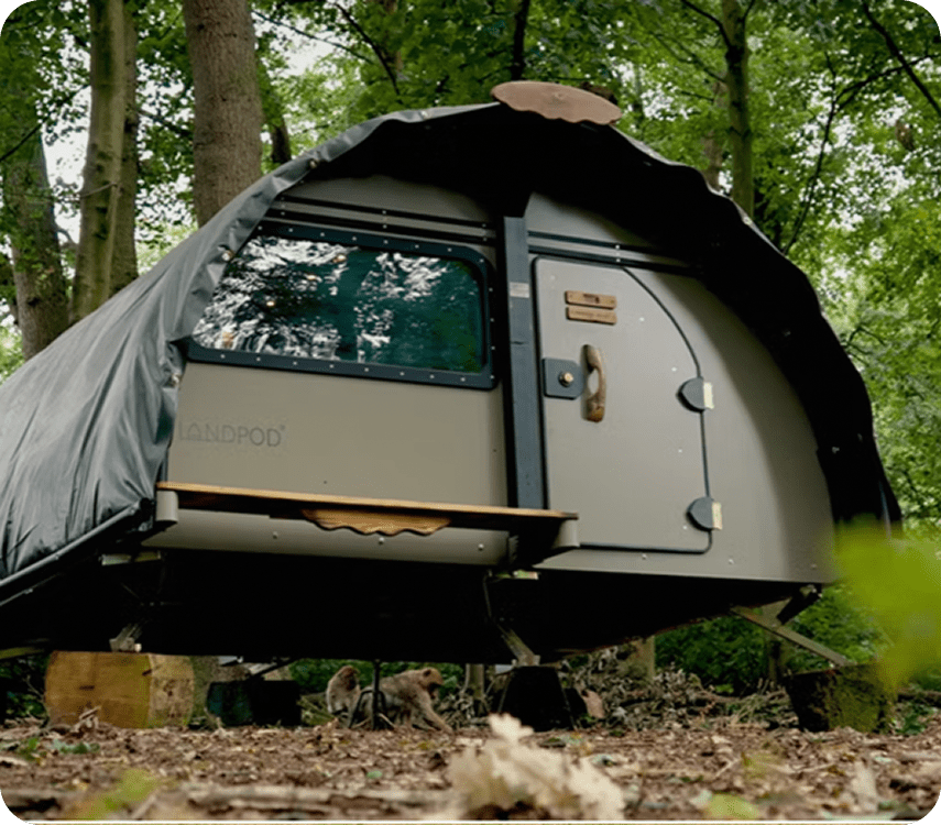 Outdoor pod under forest canopy