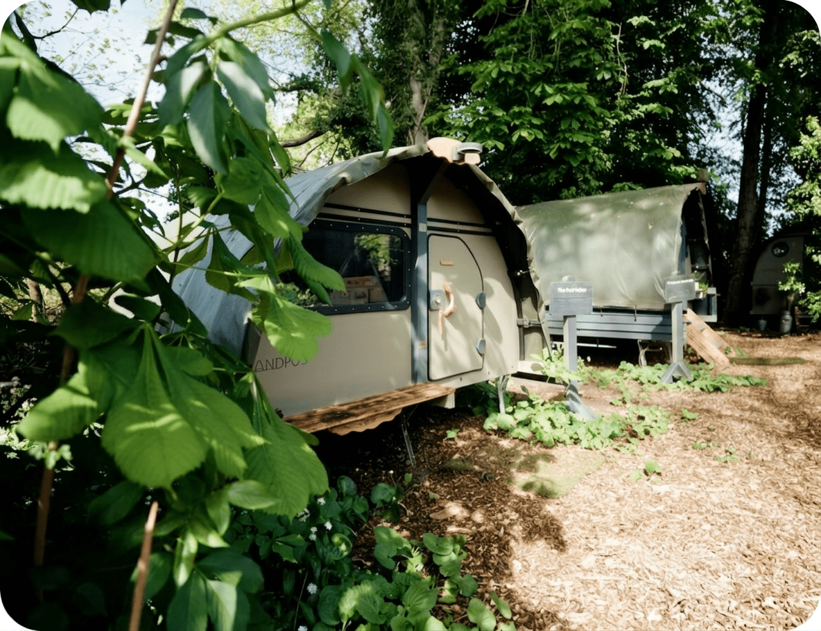 Glamping pods in leafy forest campground