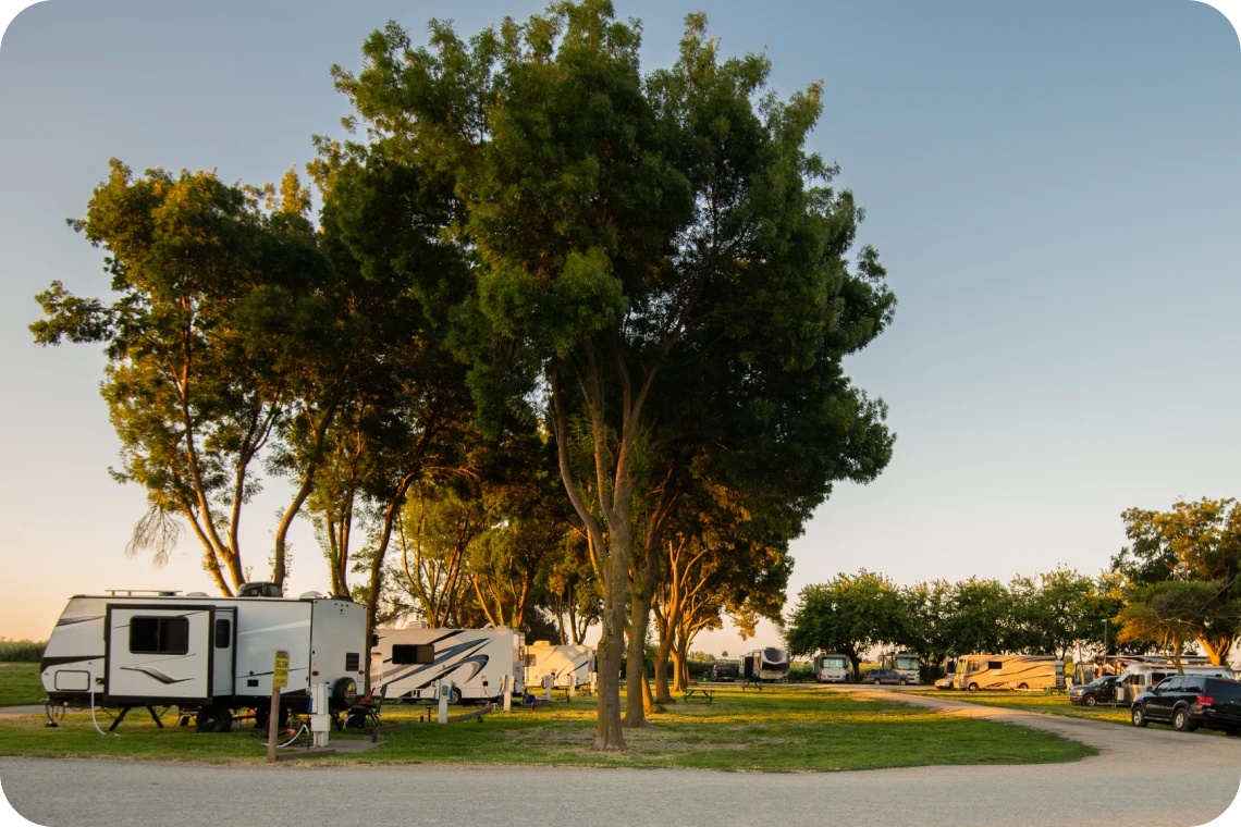 RVs in a peaceful wooded area